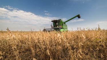 La sequía redujo las estimaciones para las producciones de maíz y soja