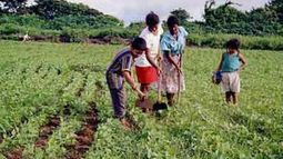 Originan fondo para asistir la agricultura familiar dentro del Mercosur