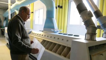PYME molinera invierte para aumentar su producción