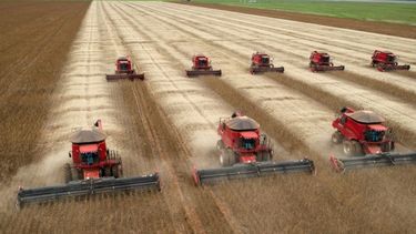 Evalúan que la cosecha llegará a 111 millones de toneladas en 2017