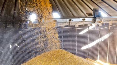 Carbap lanza un cese de comercialización y FAA queda en estado de alerta