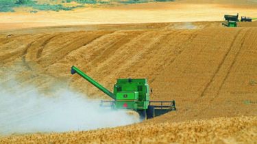 Afirman que el sector agropecuario opera con normalidad