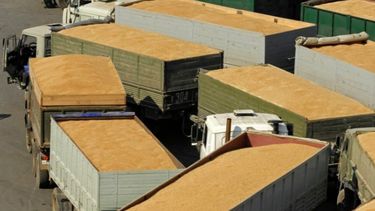 Tras seis semanas negativas repuntó el negocio agroexportador