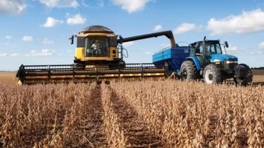 La cosecha de soja alcanzó un 78% del área calculada