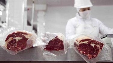 Establecieron requisitos para acceder a cupos de Cuota Hilton