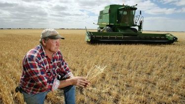 De cada $100 producidos por el agro, más de $61 van para el Estado