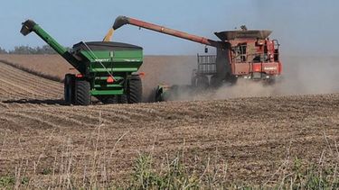 Argentina tendría una cosecha de soja mayor a las 50 millones de toneladas