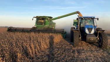 Pronósticos pesimistas sobre la producción de soja