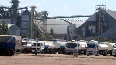 Bunge logró ganancias mayores a las esperadas en el segundo trimestre