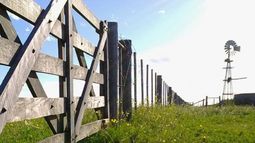 La actividad inmobiliaria rural también pisó el freno por la crisis