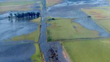 Advierten que "la situación es complicadísima" por las inundaciones