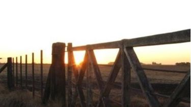 El mercado inmobiliario rural sigue entregando números negativos