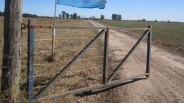 El precio de la leche cobrado por productores trepó un 2,5%