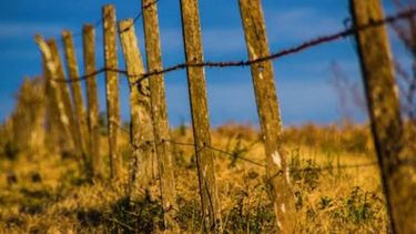 El mercado inmobiliario rural tuvo un leve retroceso en octubre