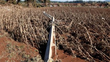 Las cosechas de Brasil están sufriendo las consecuencias de las inundaciones recientes.
