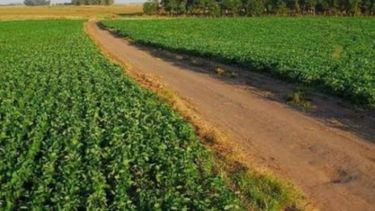 CRA pide desarrollar las economías regionales de Cuyo