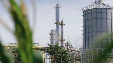 Plantas de bioetanol podrían para sus actividades