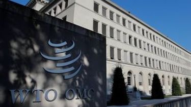 OMC recortó sus proyecciones sobre el comercial global