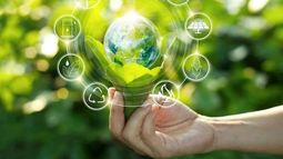 Crean programa de apoyo a la bioeconomía