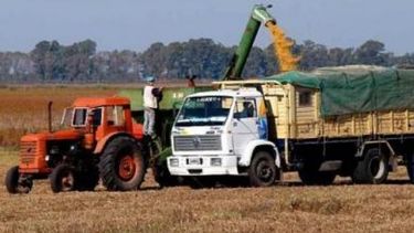Por la sequía, hay dos viajes menos de camiones de cereales por minuto