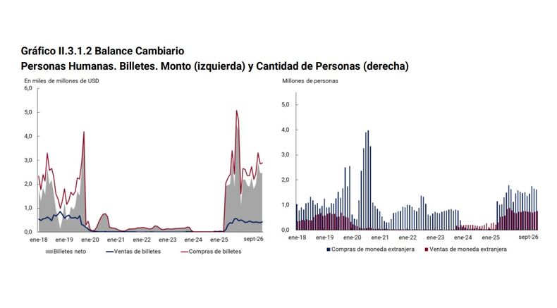 Los datos relevados por la autoridad monetaria.