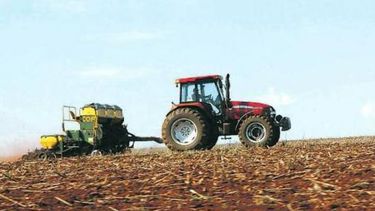 Genera incertidumbre el impacto de la sequía en la producción de soja