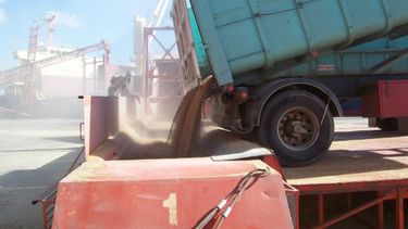 EE.UU. bajó su estimación para la cosecha de trigo en Argentina