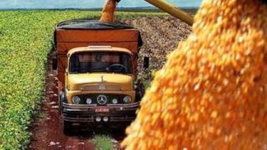 Faltan camiones para transportar cosechas de granos