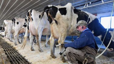 Invierten $9.000 millones para aumentar la oferta de leche
