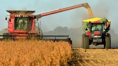 La cosecha de maíz llega a su tramo final con muy buenos rindes