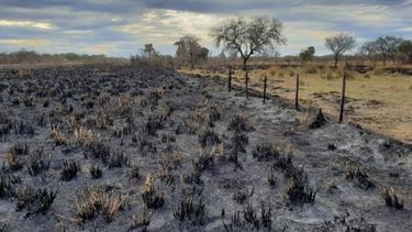 Aumentó la cantidad de hectáreas en condiciones severas