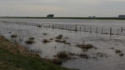 Excesos de agua siguen demorando la siembra de trigo y la cosecha de soja
