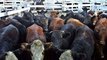 Mercado de Hacienda operará con normalidad este viernes