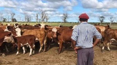 Aumentó un 48% la prestación por desempleo para los trabajadores rurales