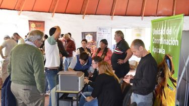 Agroindustria pone atención en darle competitividad al sector apícola