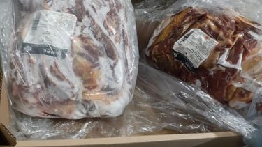 DGA frenó la exportación irregular de 31 toneladas de carne