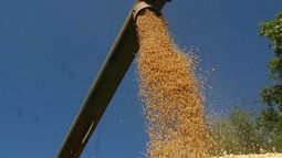 Llegó a un récord el volumen de granos declarados para exportar
