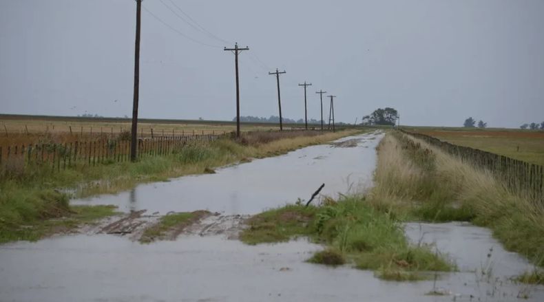 Las condiciones climáticas que afectan a los campos.