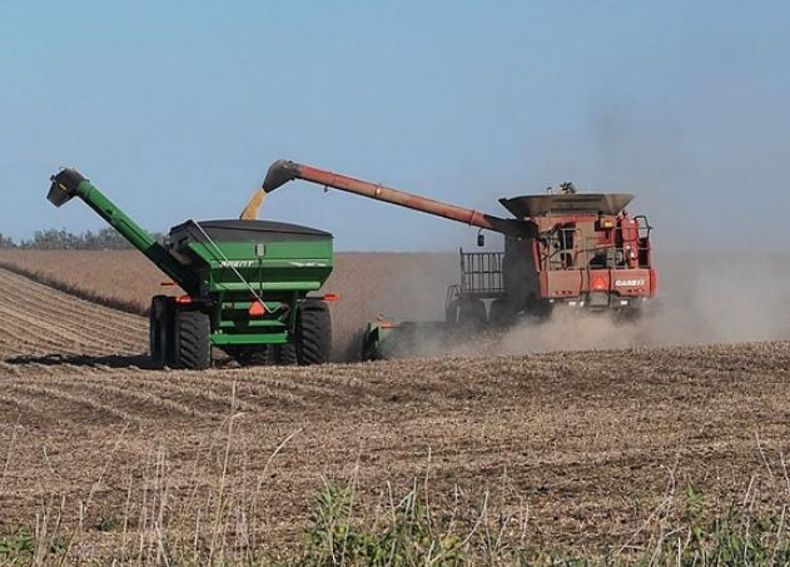 USDA recortó la estimación sobre la soja argentina