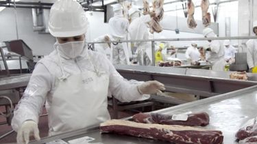 Definen el marco regulatorio de la cuota Hilton hasta 2023