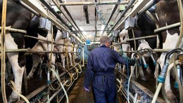 Asistencia por más de $8 mil millones para productores tamberos