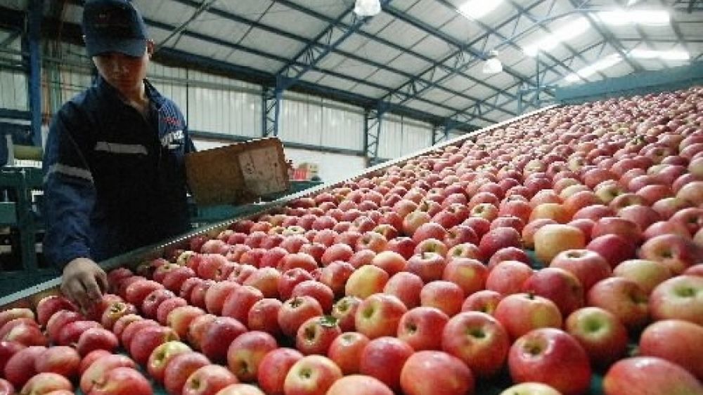 La importación de manzanas subió un 500% interanual