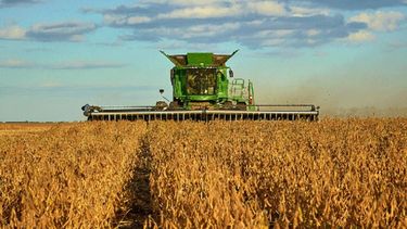 El Gobierno avanzó con el aumento de las retenciones a la soja