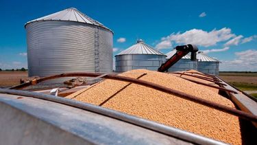 Productores vendieron casi 300.000 toneladas de soja en tres días