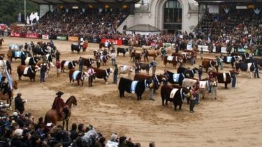Productores rurales podrán acceder a financiamiento en la Exposición de Palermo
