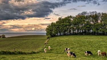 La Niña podría volver a afectar la producción agrícola
