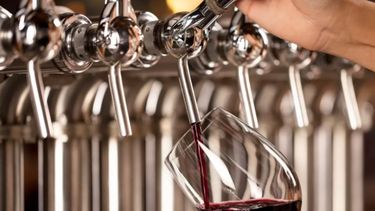 Lanzan iniciativa para que el vino argentino conquiste Brasil