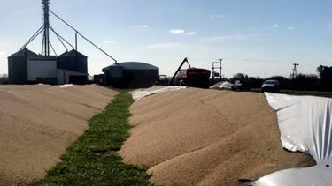 Confirman que se vandalizaron 60 silobolsas en lo que va de 2020