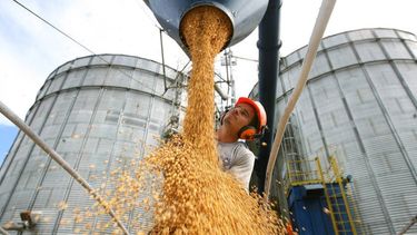 La puesta en marcha de medidas más ventajosas para la cadena agroindustrial.