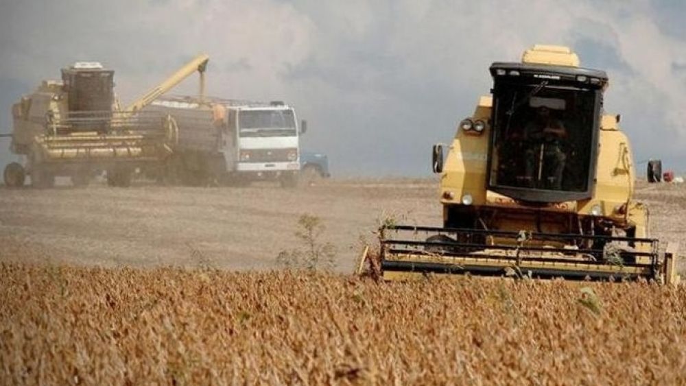 Sin crédito y con retenciones, empresas prevén una explosión exportadora del agro